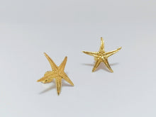 Load image into Gallery viewer, Σκουλαρίκια Summer Starfish